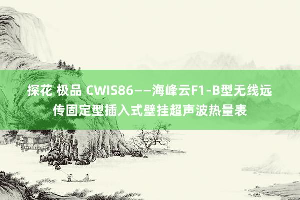 探花 极品 CWIS86——海峰云F1-B型无线远传固定型插入式壁挂超声波热量表